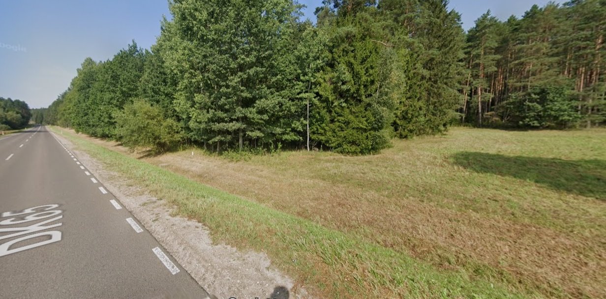 Zdjęcie 3