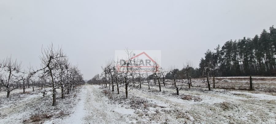 Działka rolna na sprzedaż Żelechów  35 300m2 Foto 8