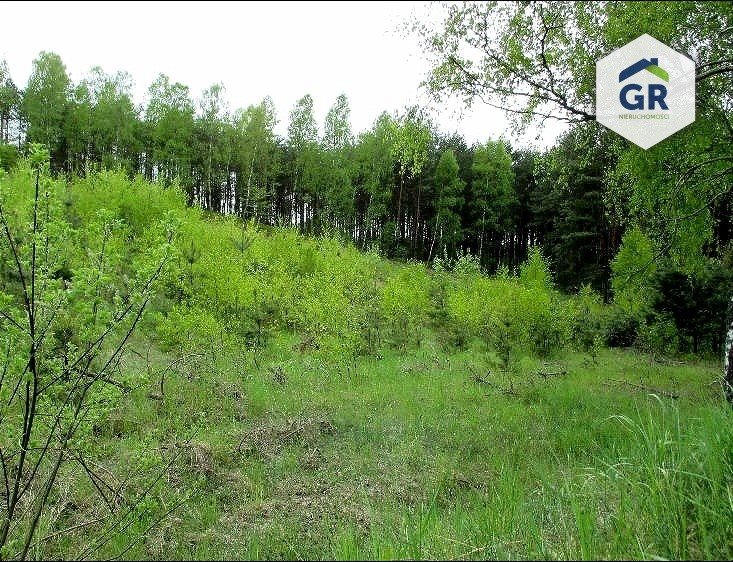 Działka budowlana na sprzedaż Gołubie 2 097m2 Foto 1 Działka budowlana na sprzedaż Gołubie 2 097m2 Foto 1