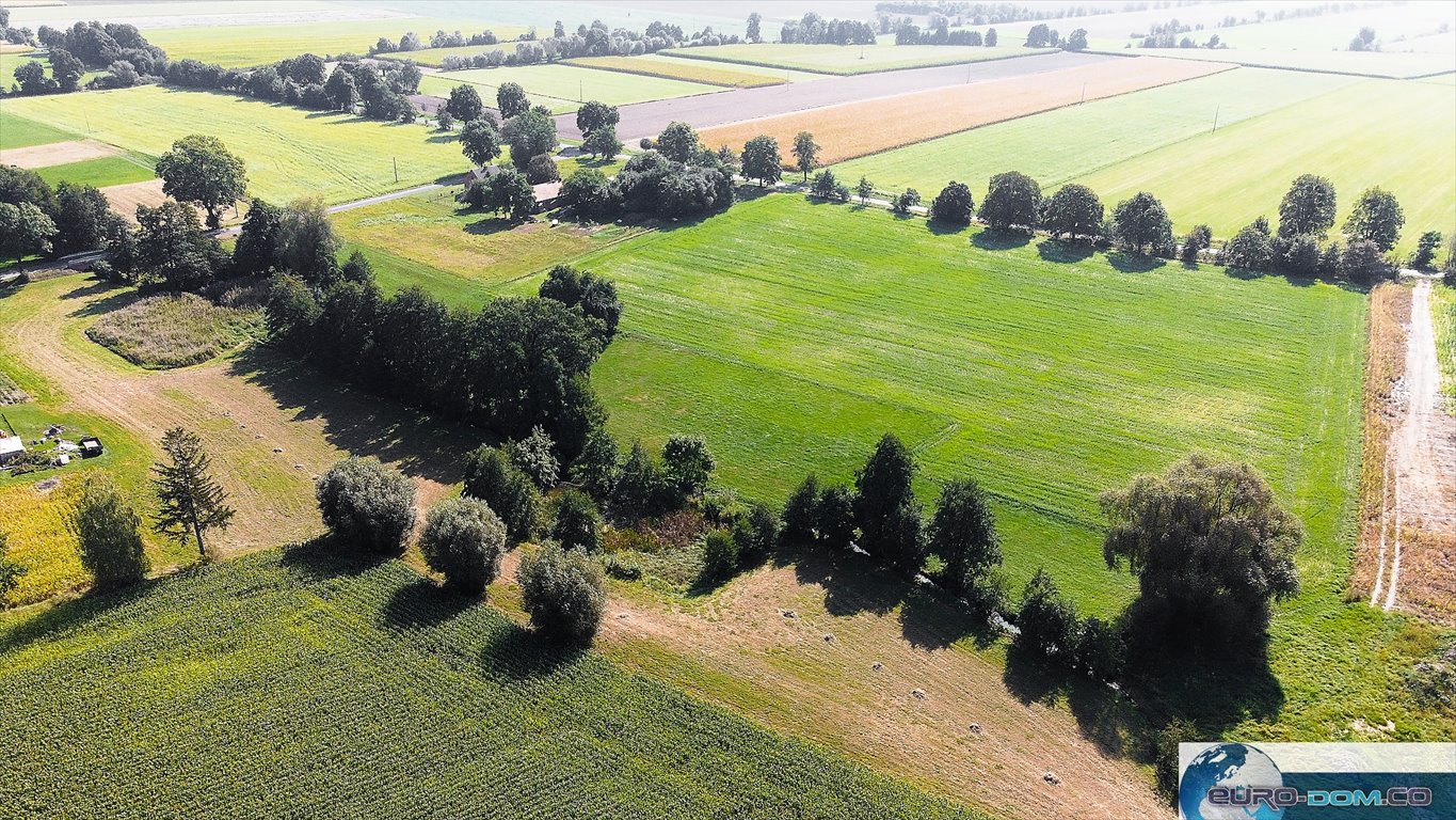 Działka budowlana na sprzedaż Borucin  15 658m2 Foto 5