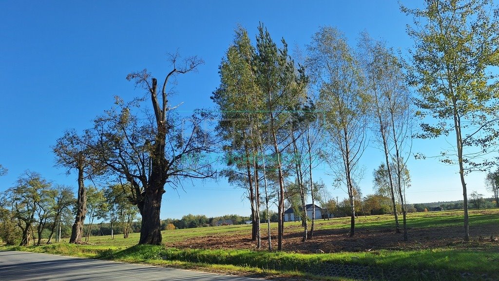 Działka budowlana na sprzedaż Radziejowice-Parcel  3 300m2 Foto 3