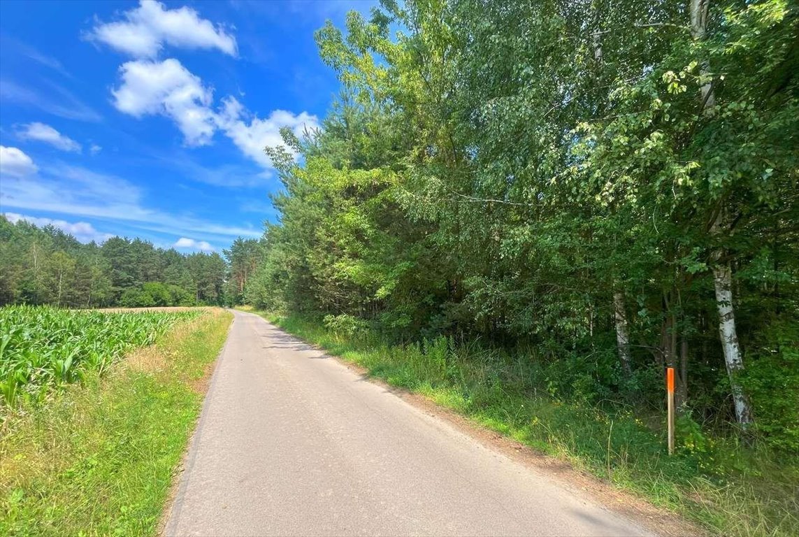 Działka inna na sprzedaż Janów  1 038m2 Foto 1