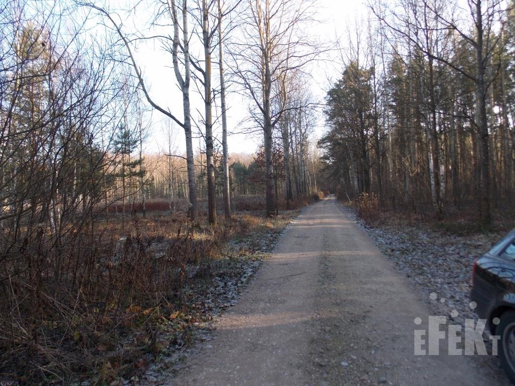 Działka rolna na sprzedaż Bartniki  13 100m2 Foto 6