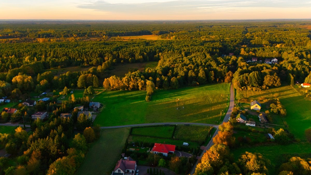 Działka budowlana na sprzedaż Kampinos, Partyzantów  1 687m2 Foto 9