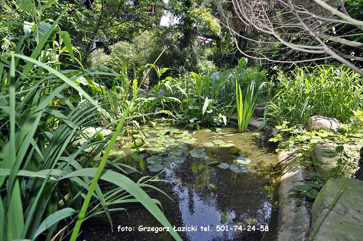 Dom na sprzedaż Józefów  400m2 Foto 8