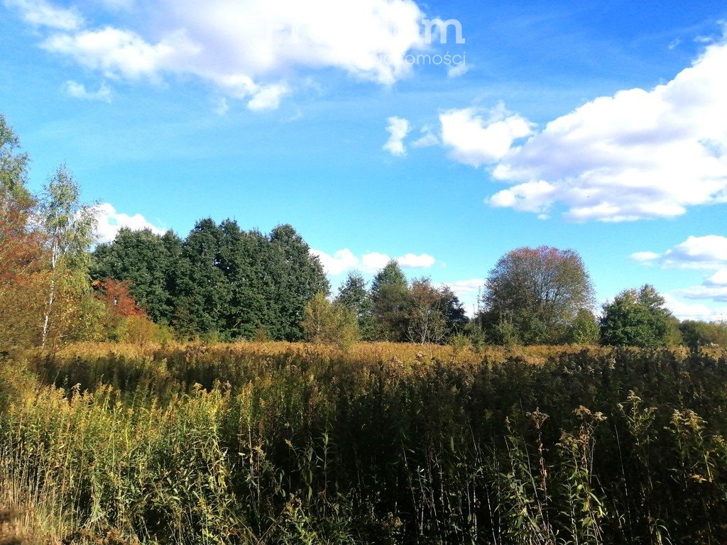 Działka rolna na sprzedaż Dziekanów Polski  1 199m2 Foto 2