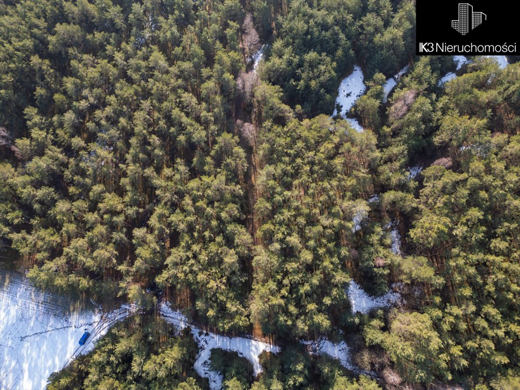 Działka leśna na sprzedaż Stoczek, Leśna  3 500m2 Foto 4