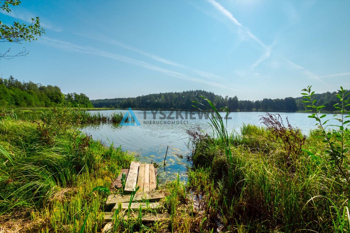 Działka siedliskowa na sprzedaż Sycowa Huta  16 186m2 Foto 3