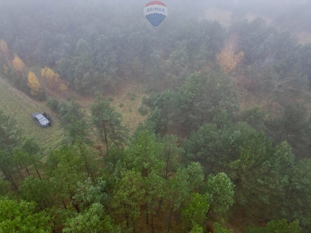 Działka budowlana na sprzedaż Bukowiny  3 000m2 Foto 2