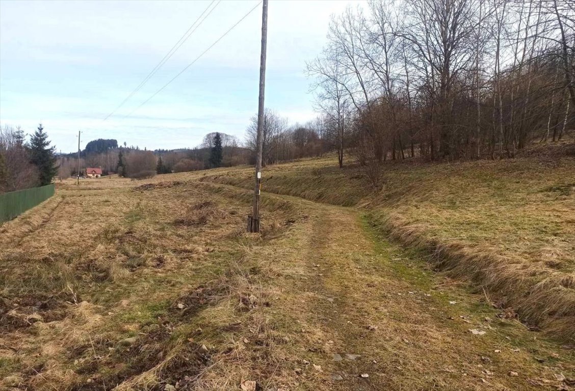 Działka budowlana na sprzedaż Ujsoły  700m2 Foto 9