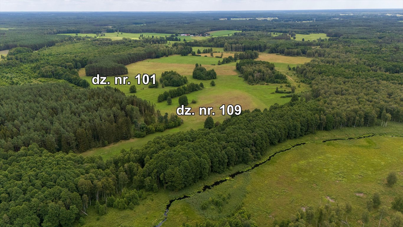 Działka rolna na sprzedaż Rekownica  120 300m2 Foto 9