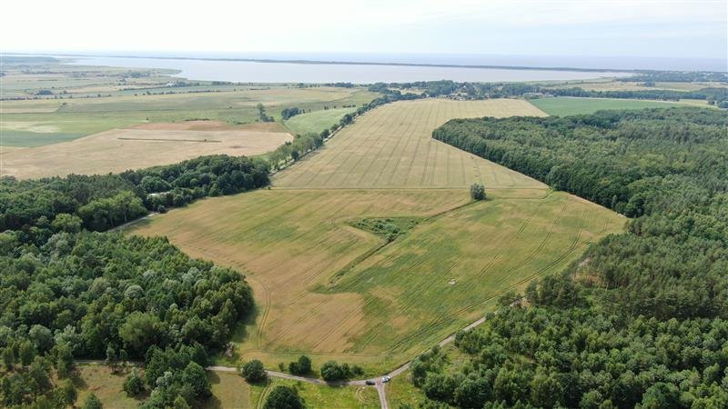 Działka budowlana na sprzedaż Boryszewo, Boryszewo  3 166m2 Foto 7