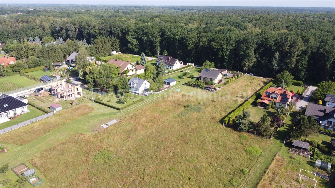 Działka budowlana na sprzedaż Jasień  5 100m2 Foto 6