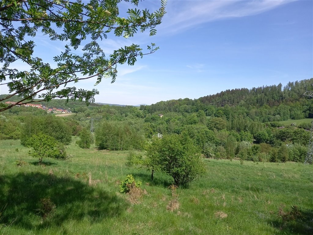 Malownicza działka z widokiem na góry i las Wałbrzych, Rusinowa  4 526m2 Foto 1
