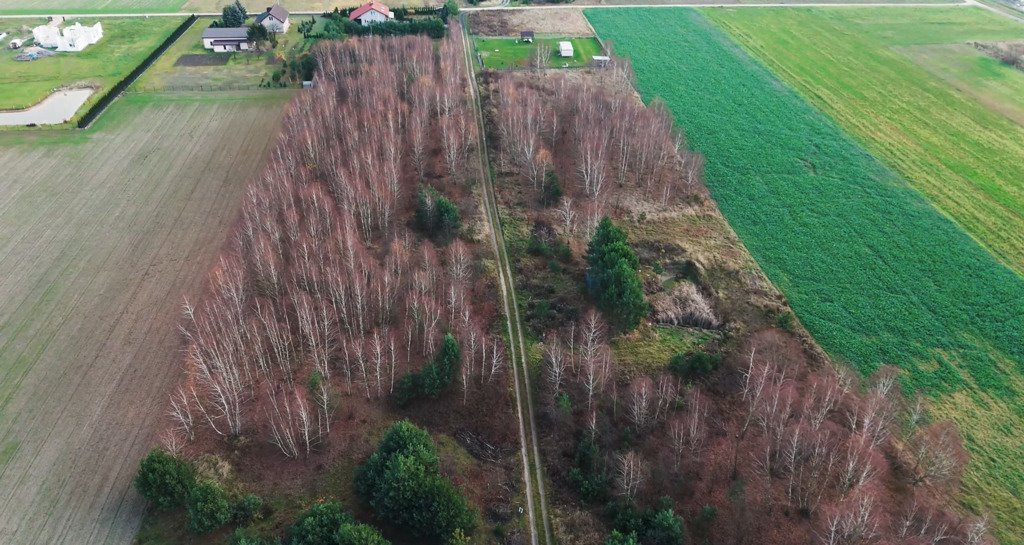 Działka rolna na sprzedaż Kotowice  3 400m2 Foto 8