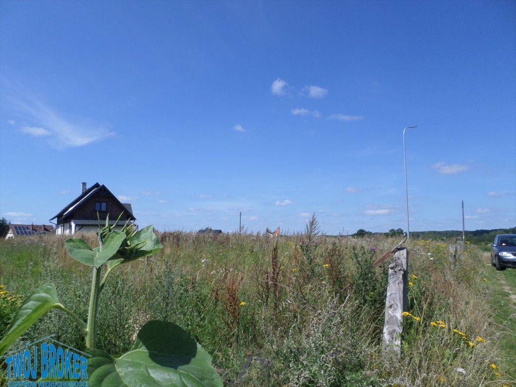 Działka budowlana na sprzedaż Dąbrówka  1 000m2 Foto 6