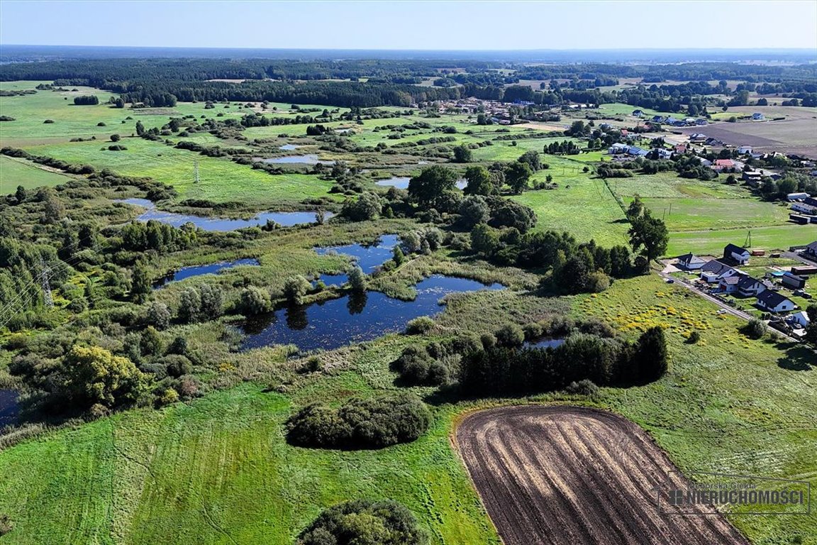 Działka siedliskowa na sprzedaż Marcelin  39 800m2 Foto 7