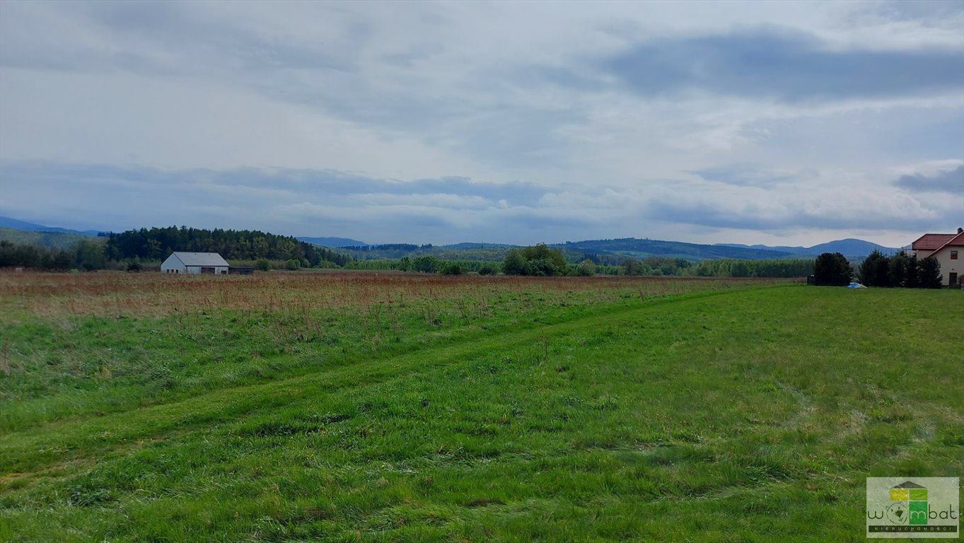 Działka budowlana na sprzedaż Modliszów  1 905m2 Foto 7