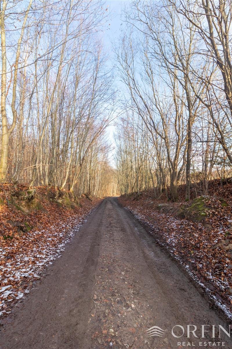 Działka budowlana na sprzedaż Łapino Kartuskie, Rdestowa  1 600m2 Foto 3