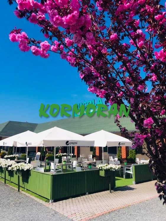 Lokal użytkowy na sprzedaż Zawada, Oleska  250m2 Foto 6