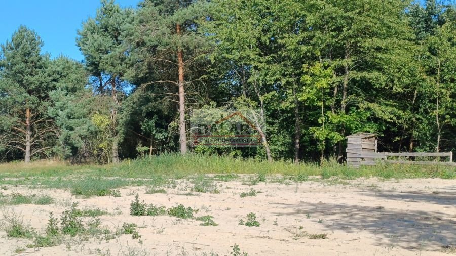 Działka budowlana na sprzedaż Grabów nad Pilicą, Lipinki  1 200m2 Foto 6