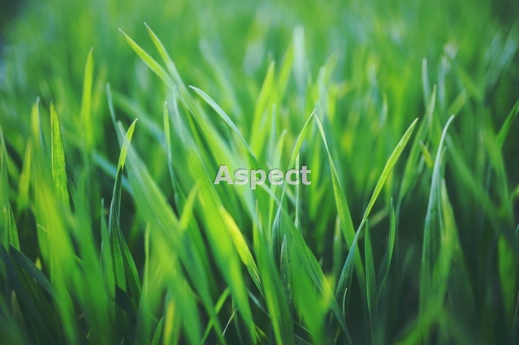 Działka inna na sprzedaż Żory, Rogoźna  1 240m2 Foto 1