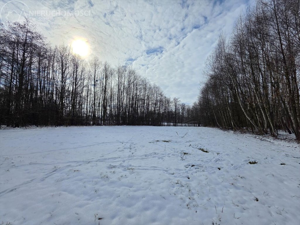 Urokliwa działka rolna 1929 m² w Wójtowej z lasem Wójtowa  1 929m2 Foto 1