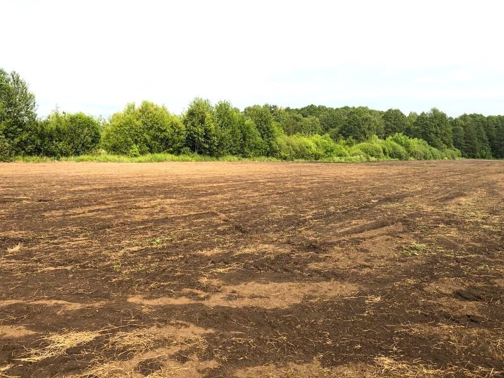 Działka rolna na sprzedaż Żurobice  40 000m2 Foto 1