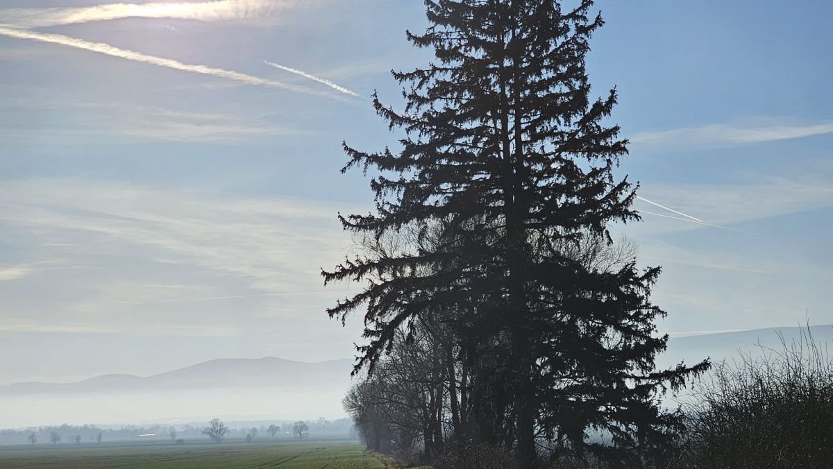 Działka budowlana na sprzedaż Książnica  3 000m2 Foto 5