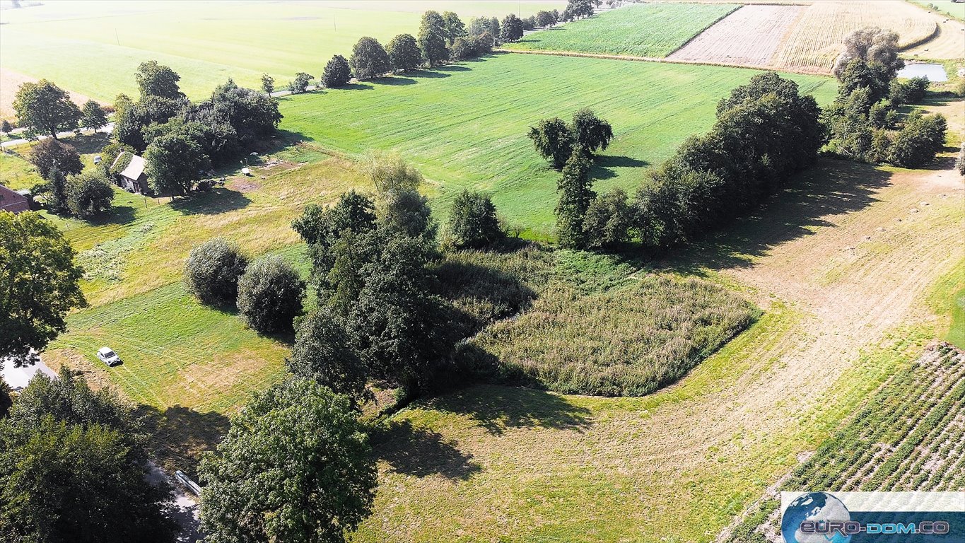 Działka budowlana na sprzedaż Borucin  15 658m2 Foto 4