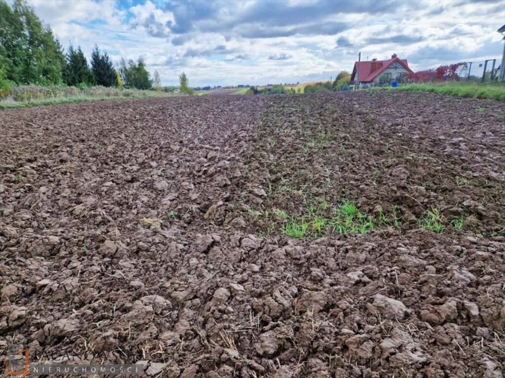 Działka budowlana na sprzedaż Łuczyce  823m2 Foto 1