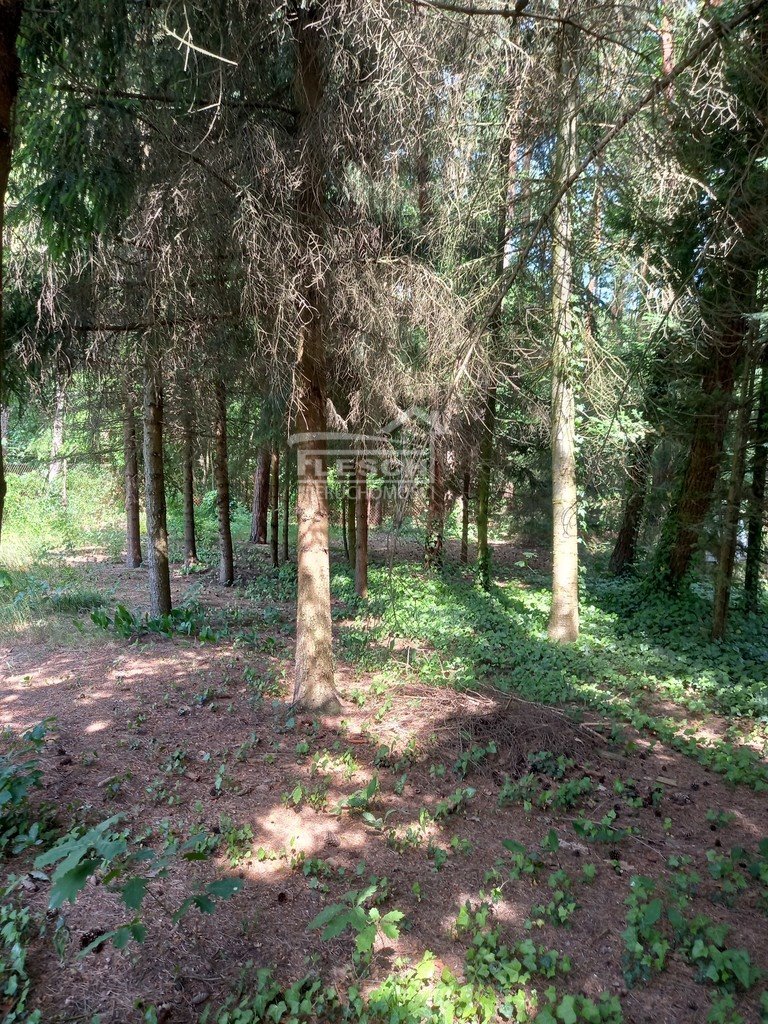 Działka leśna z prawem budowy na sprzedaż Siestrzeń  1 095m2 Foto 5