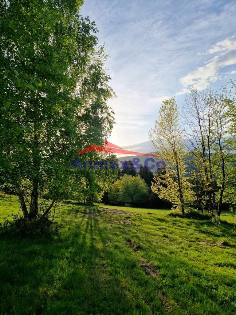 Działka budowlana na sprzedaż Zawoja  2 100m2 Foto 1