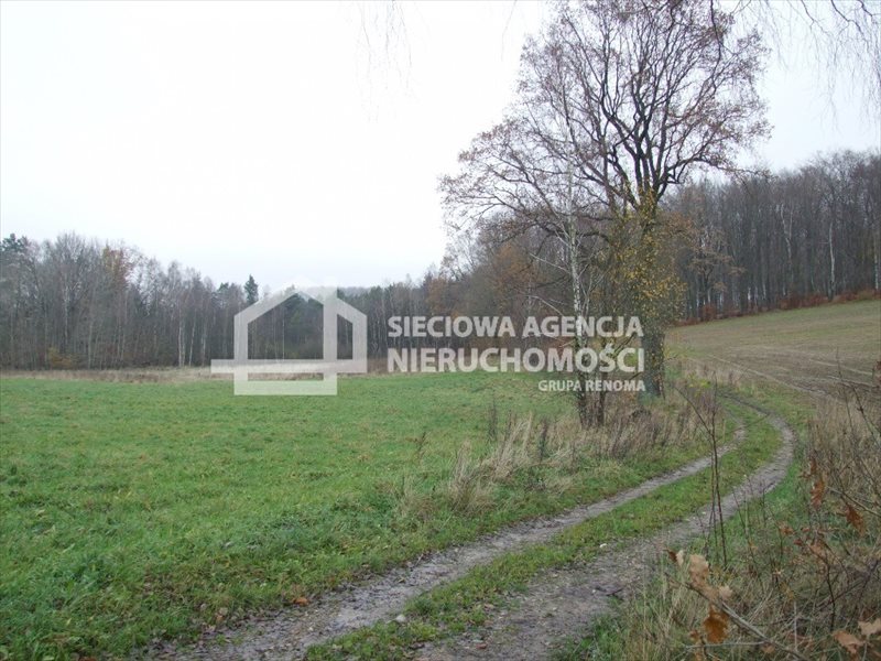 Działka rolna na sprzedaż Trzepowo 40 200m2 Foto 1 Działka rolna na sprzedaż Trzepowo 40 200m2 Foto 1