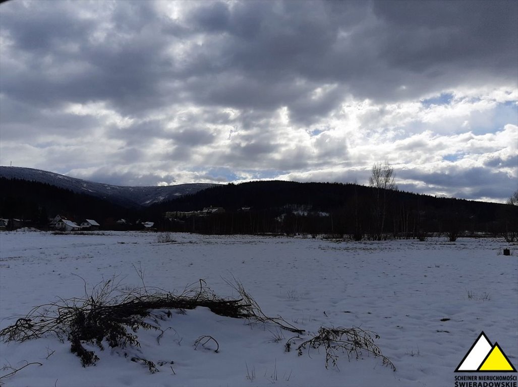 Działka budowlana na sprzedaż Świeradów-Zdrój, Nadrzeczna  10 919m2 Foto 5