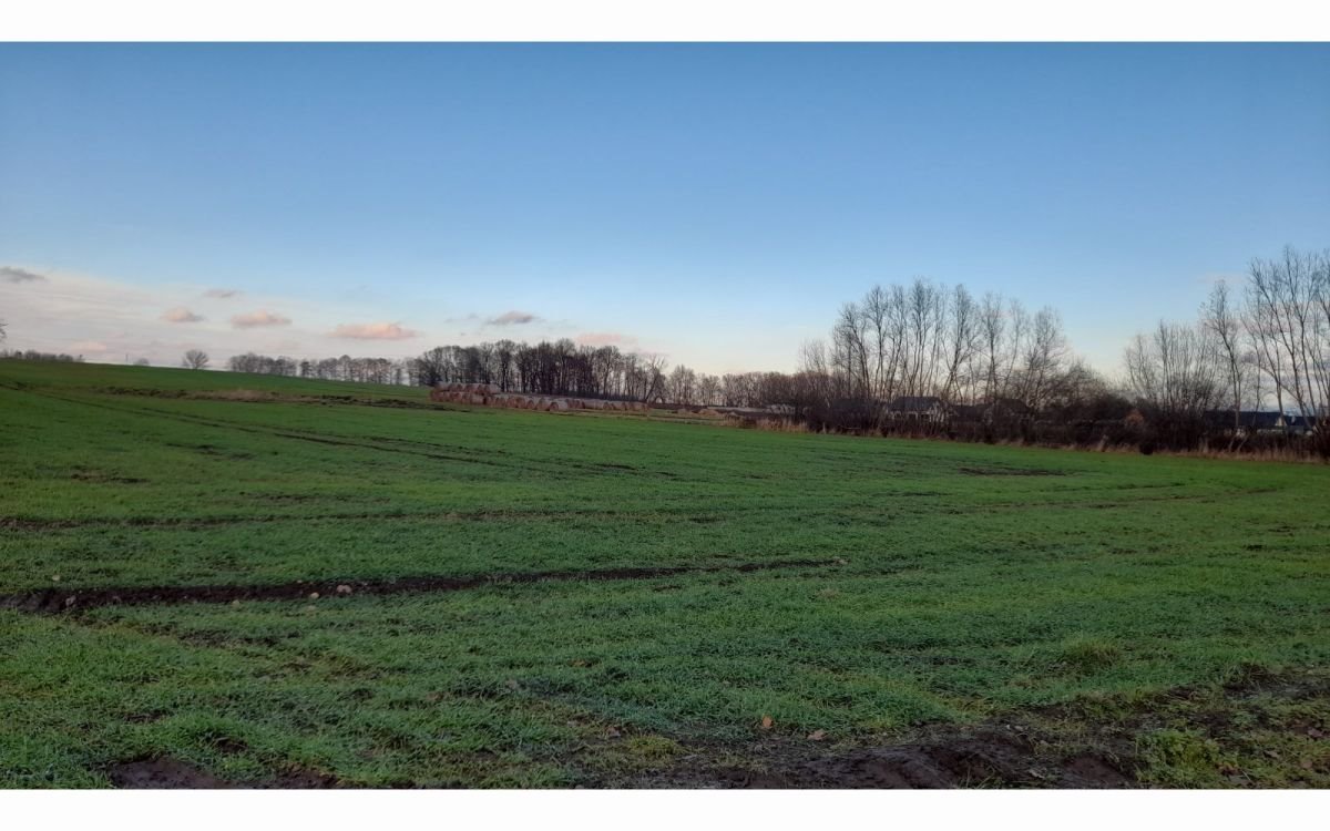 Działka budowlana na sprzedaż Krzeczyn Wielki, Krzeczyn Wielki  1 000m2 Foto 2