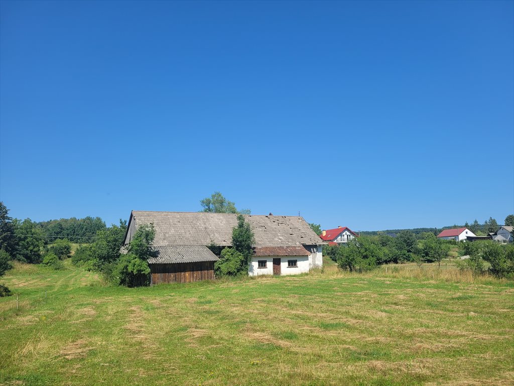 Działka budowlana na sprzedaż Florynka  1 800m2 Foto 2