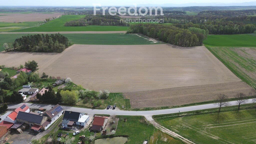 Działka budowlana na sprzedaż Strzegów  21 000m2 Foto 1