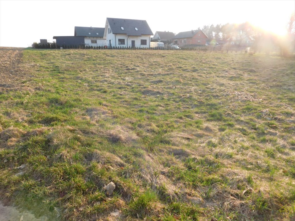 Działka budowlana 1800 m² w Golina, cicha okolica Golina, Golina  1 800m2 Foto 1