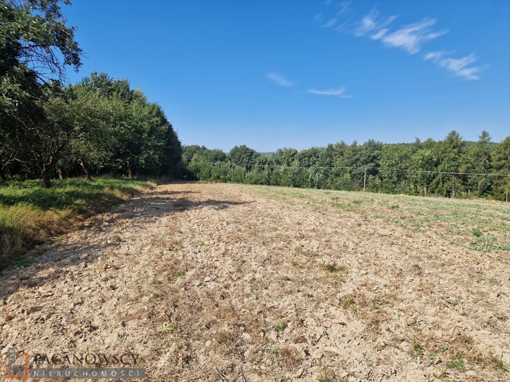 Działka siedliskowa na sprzedaż Narama  7 040m2 Foto 6