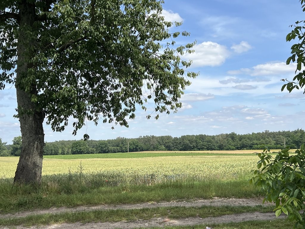 Działka budowlana na sprzedaż Ochodze, Prószkowska  10 100m2 Foto 2