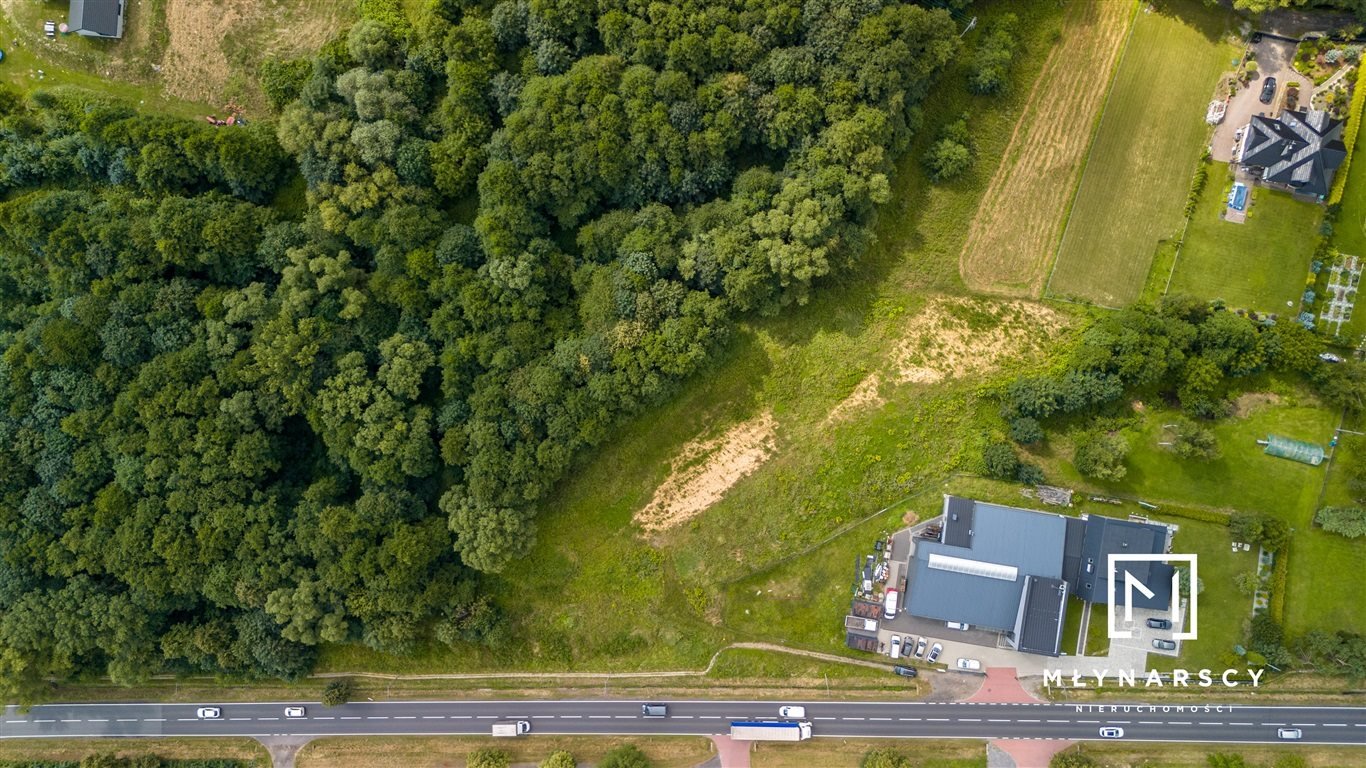 Działka inna na sprzedaż Bujaków  6 460m2 Foto 6