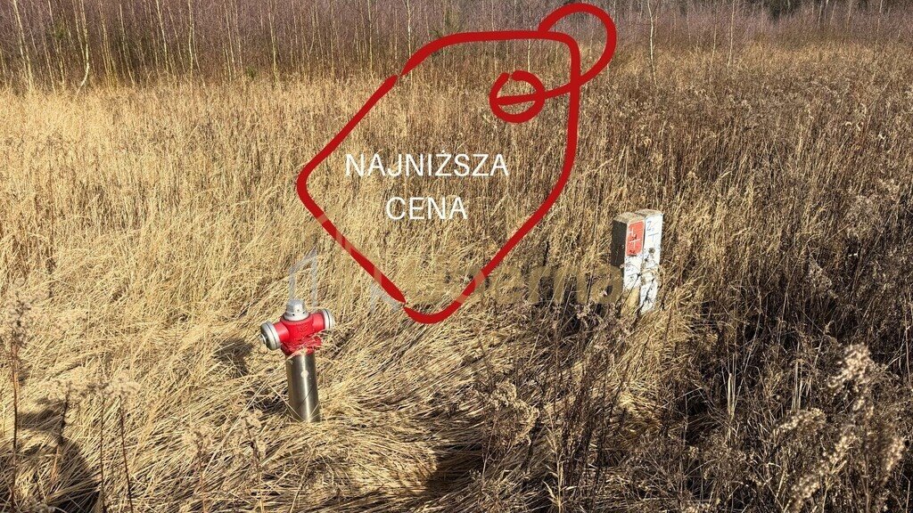 Działka 1552 m² w Żółwiej Błoci, spokój i możliwości - polecam! Żółwia Błoć  1 552m2 Foto 1