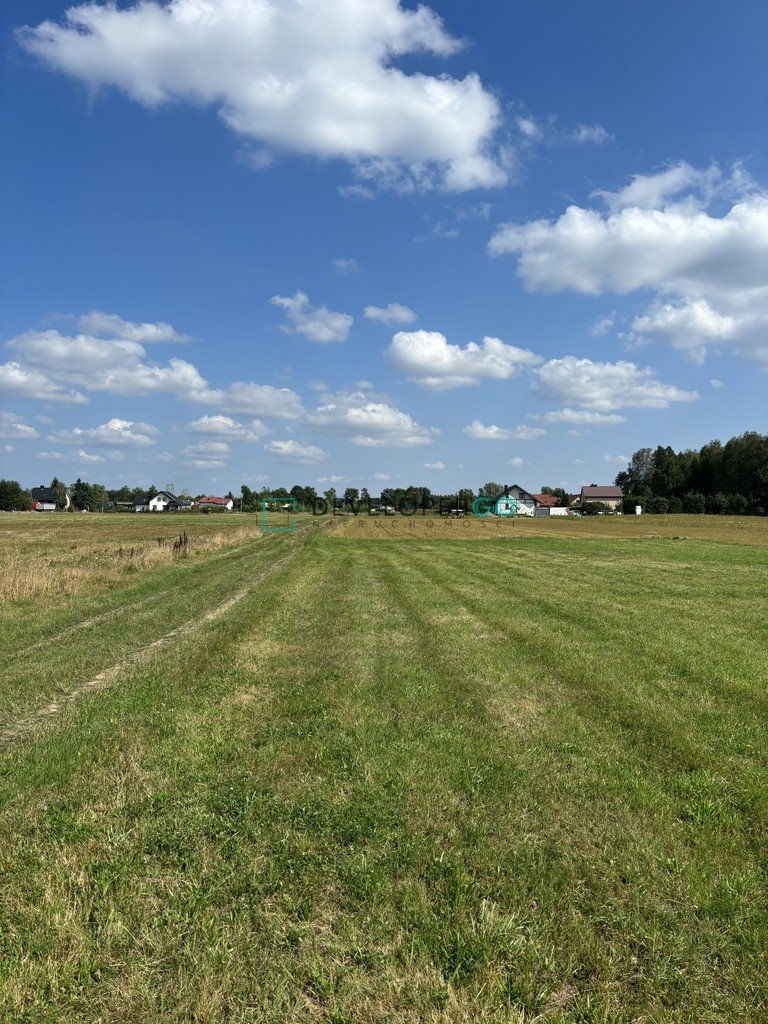 Działka budowlana na sprzedaż Zwierki  6 003m2 Foto 4