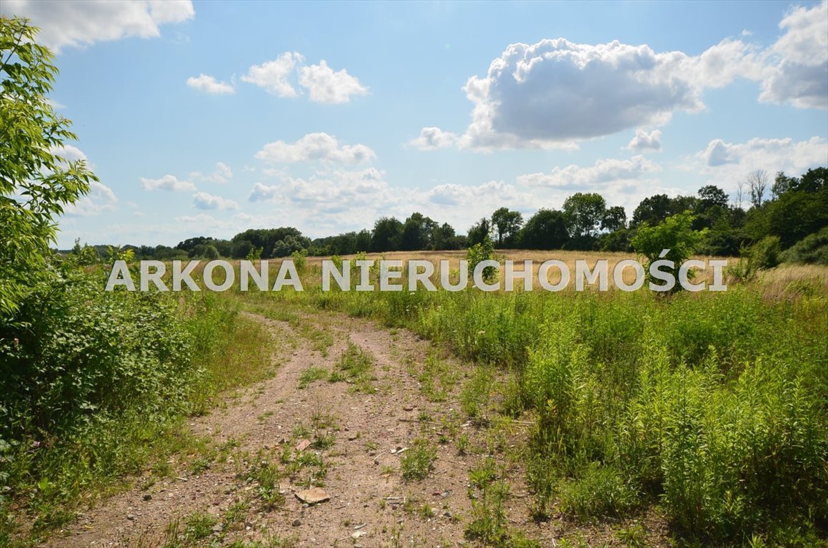 Zapraszam do zakupu działek pod domy w Czepinie, media, cisza i spokój Czepino  3 002m2 Foto 1