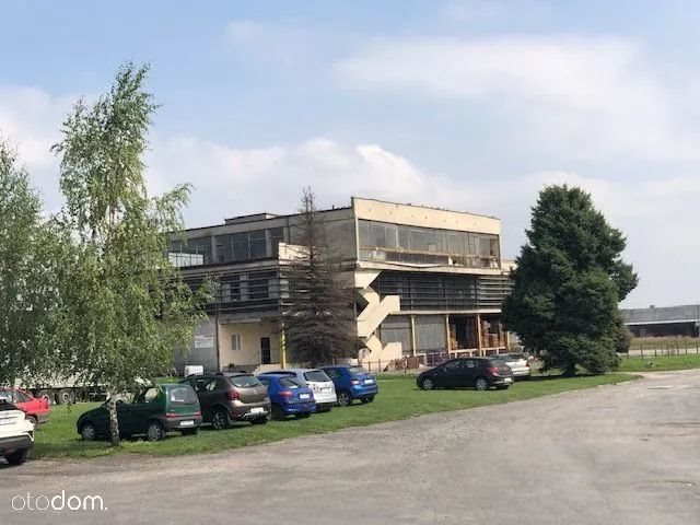 Lokal użytkowy na sprzedaż Kietrz, Okrzei 21 2 500m2 Foto 1 Lokal użytkowy na sprzedaż Kietrz, Okrzei 21 2 500m2 Foto 1