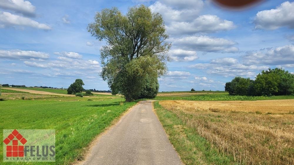 Działka inna na sprzedaż Czuszów  1 600m2 Foto 3