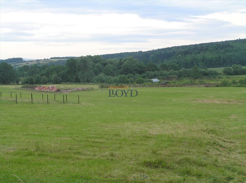 Działka budowlana na sprzedaż Stary Wielisław, Wybickiego 1 412m2 Foto 1 Działka budowlana na sprzedaż Stary Wielisław, Wybickiego 1 412m2 Foto 1