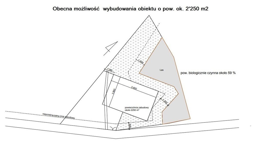 Działka rolna na sprzedaż Jakubów, Mińska  12 258m2 Foto 8