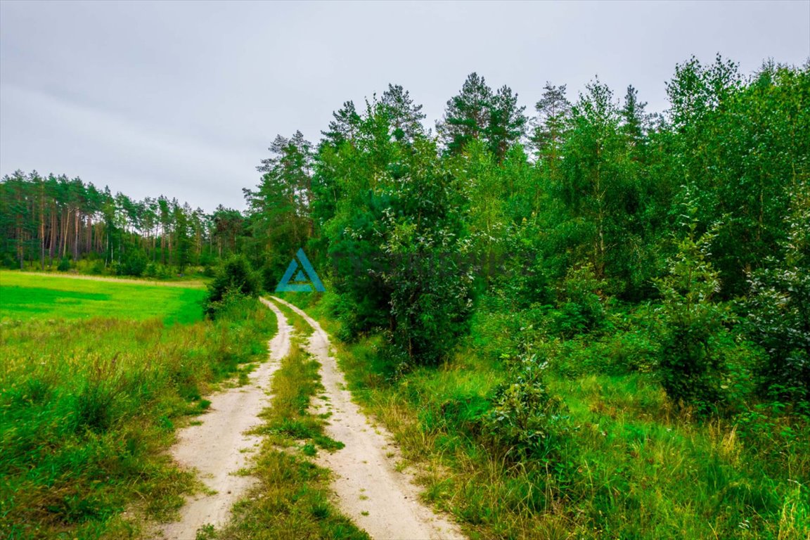 Działka rekreacyjna na sprzedaż Skorzewo  1 515m2 Foto 10